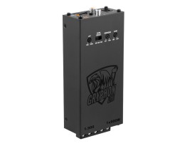 DL Audio Gryphon Lite 1.900